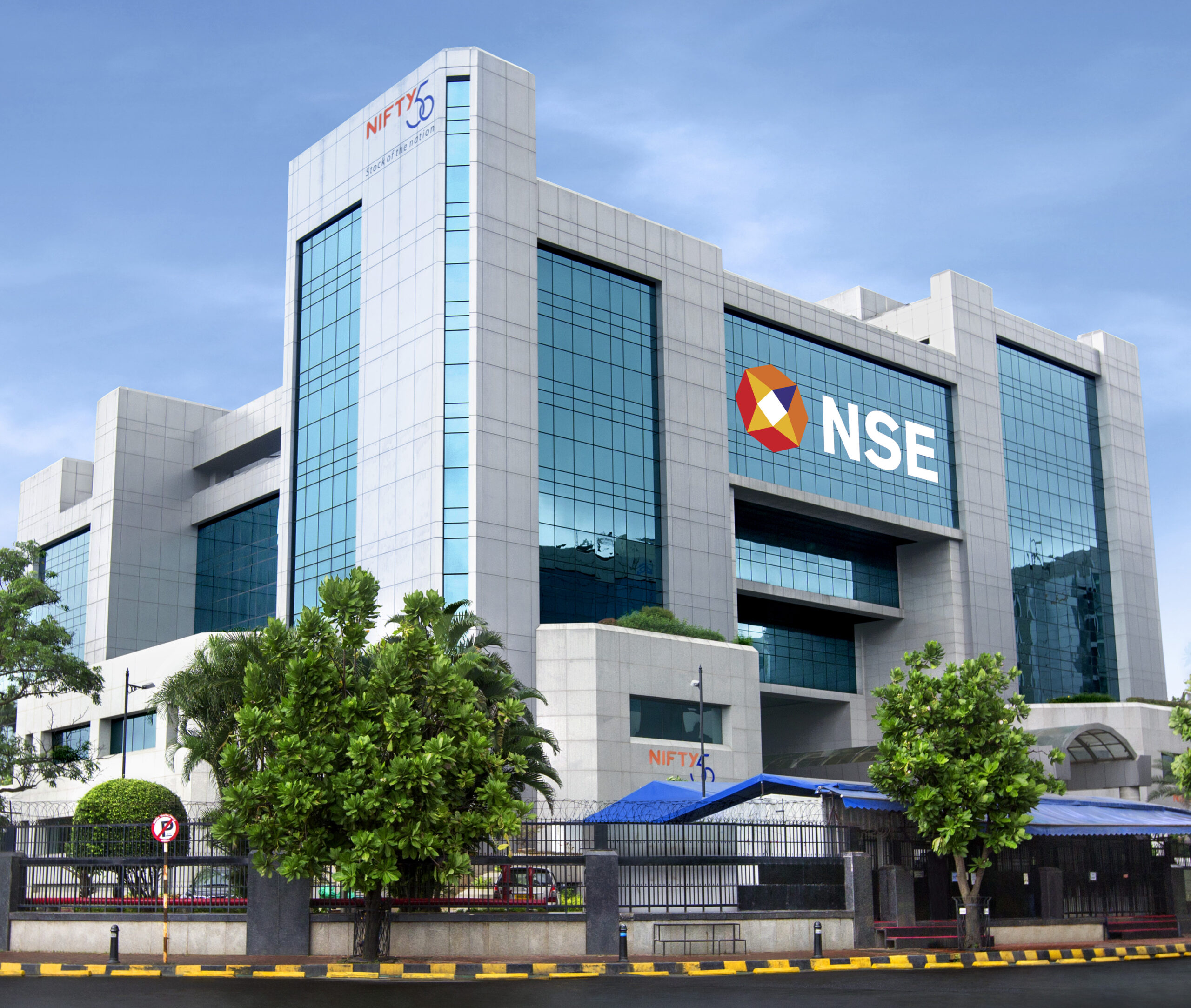 nse full form